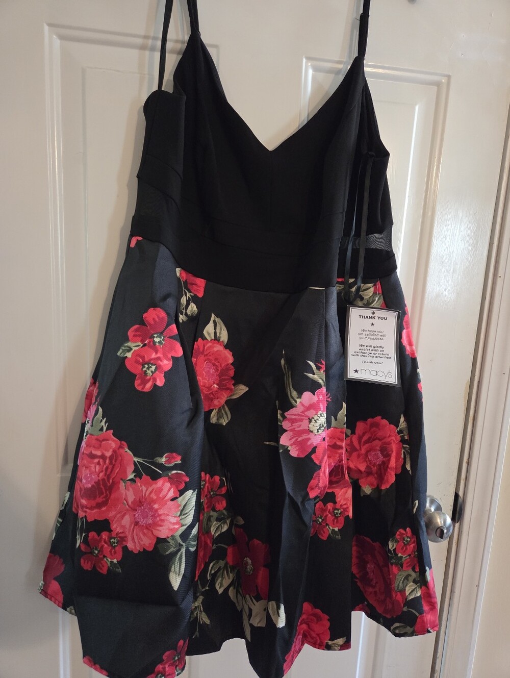 Plus Size Black Floral Sleeveless Fit-and-Flare Dress with Red Roses - Picture 5 of 5